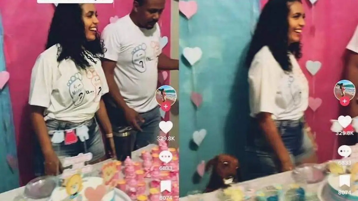 Un perrito se convirtió en el protagonista de una fiesta de revelación de género al comerse el trozo de pastel que era para la futura mamá